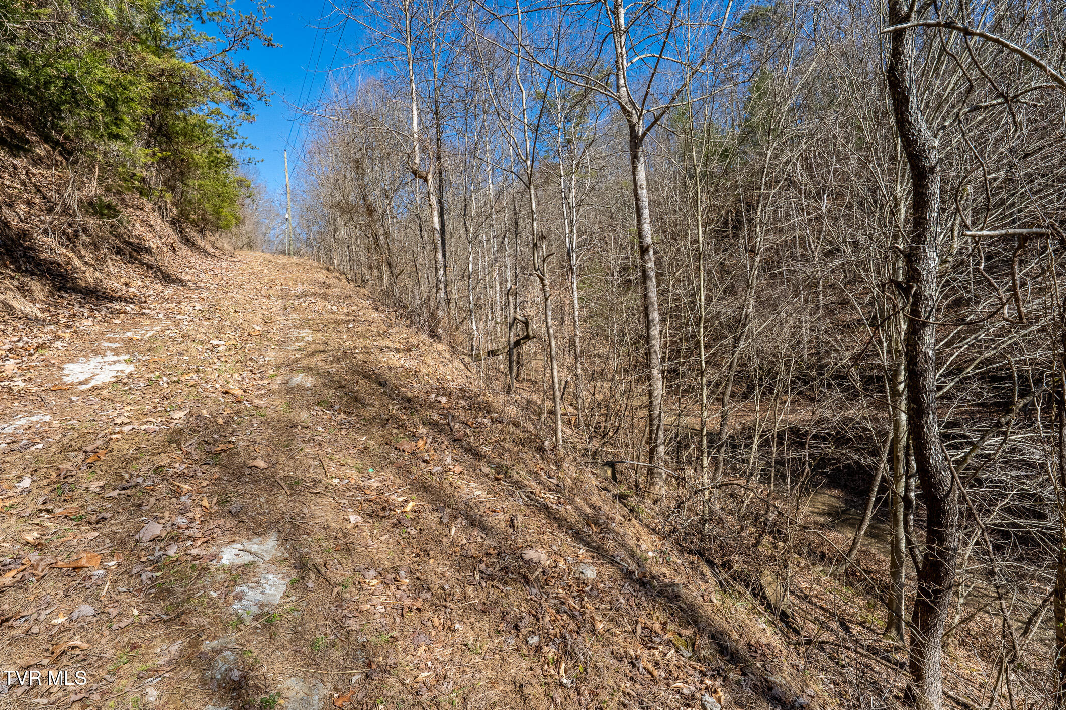 Tbd Old Carden Hollow Road