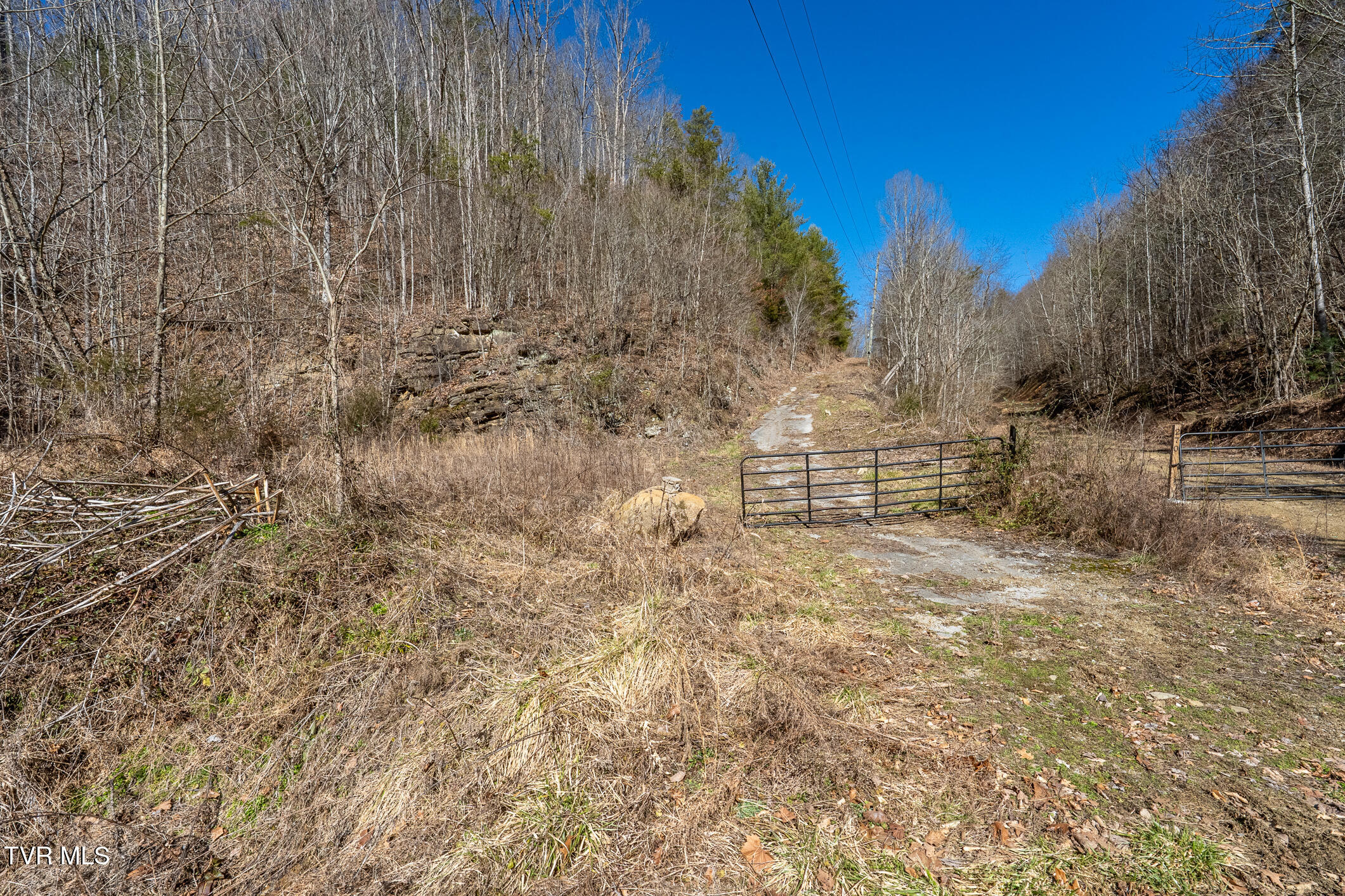 Tbd Old Carden Hollow Road