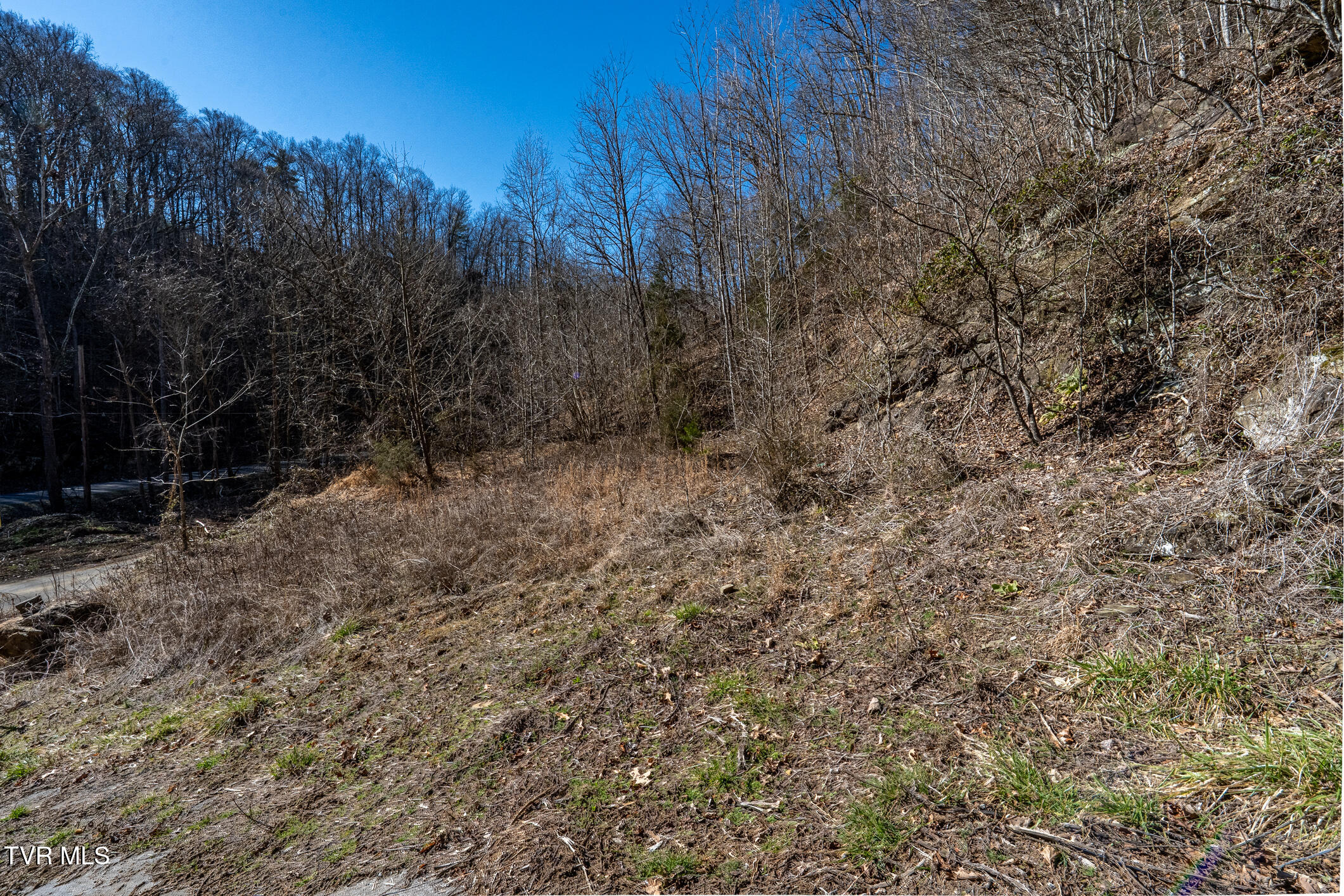 Tbd Old Carden Hollow Road
