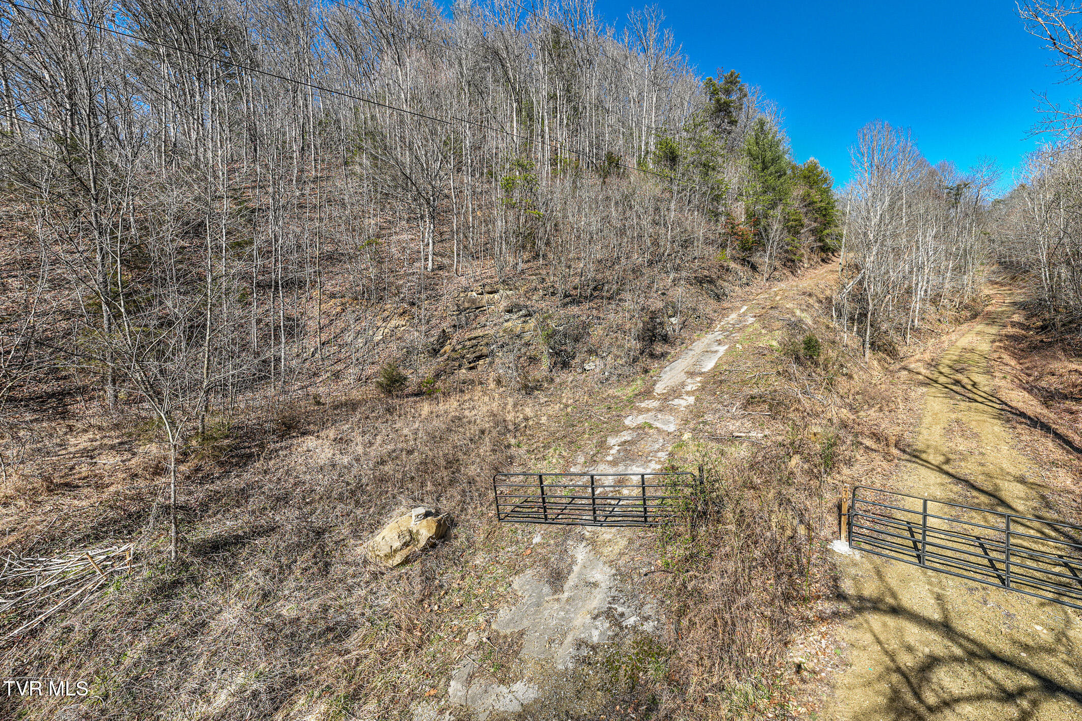 Tbd Old Carden Hollow Road