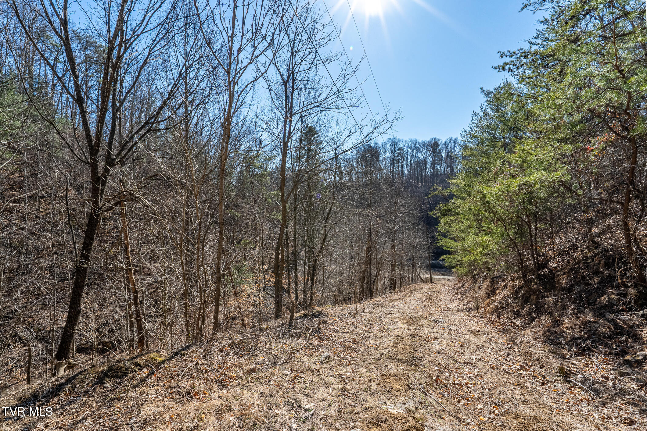 Tbd Old Carden Hollow Road