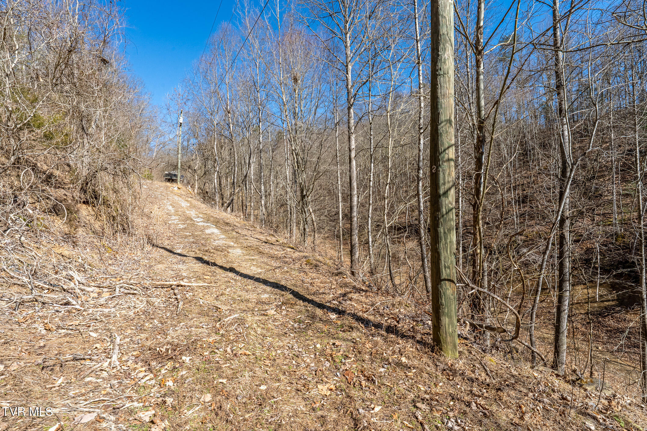 Tbd Old Carden Hollow Road