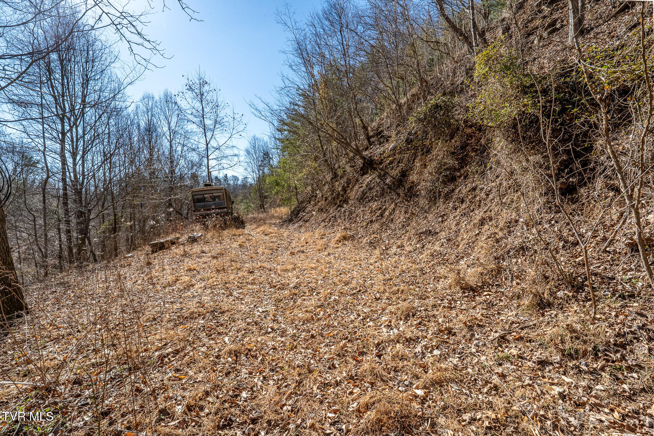 Tbd Old Carden Hollow Road