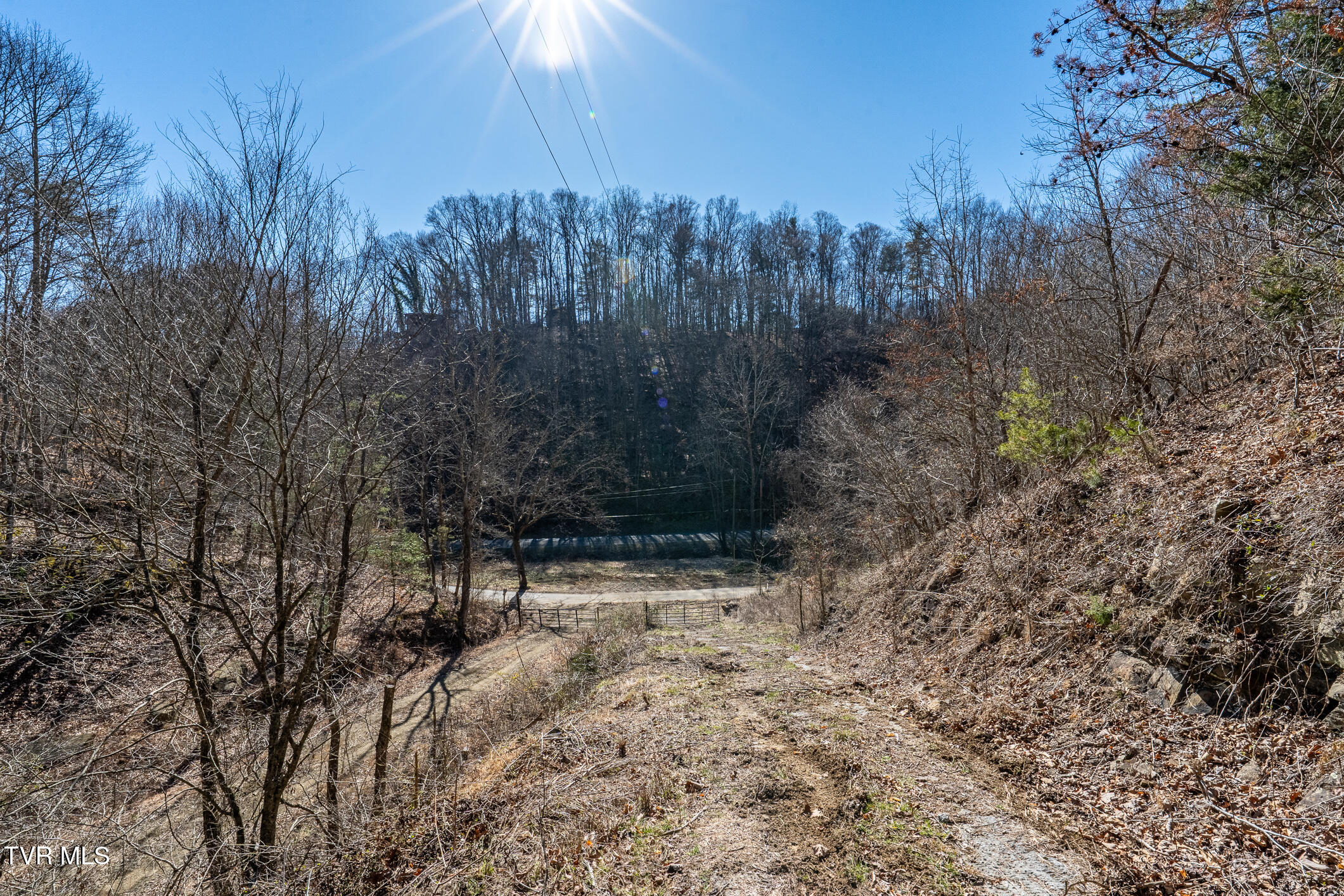 Tbd Old Carden Hollow Road