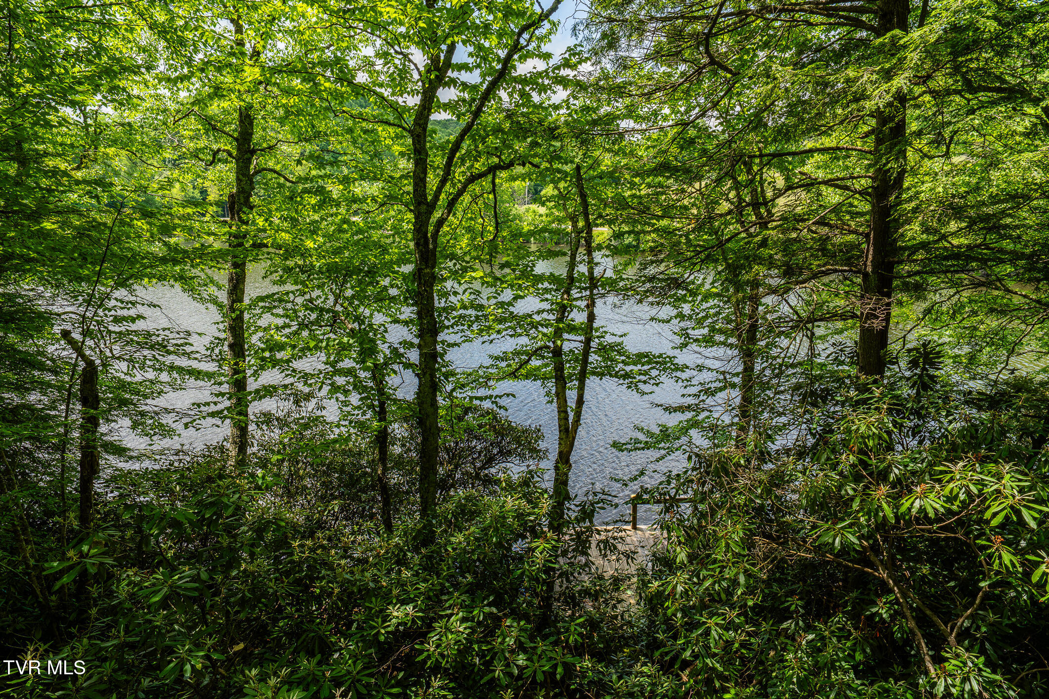 206 Ripshin Lake Road
