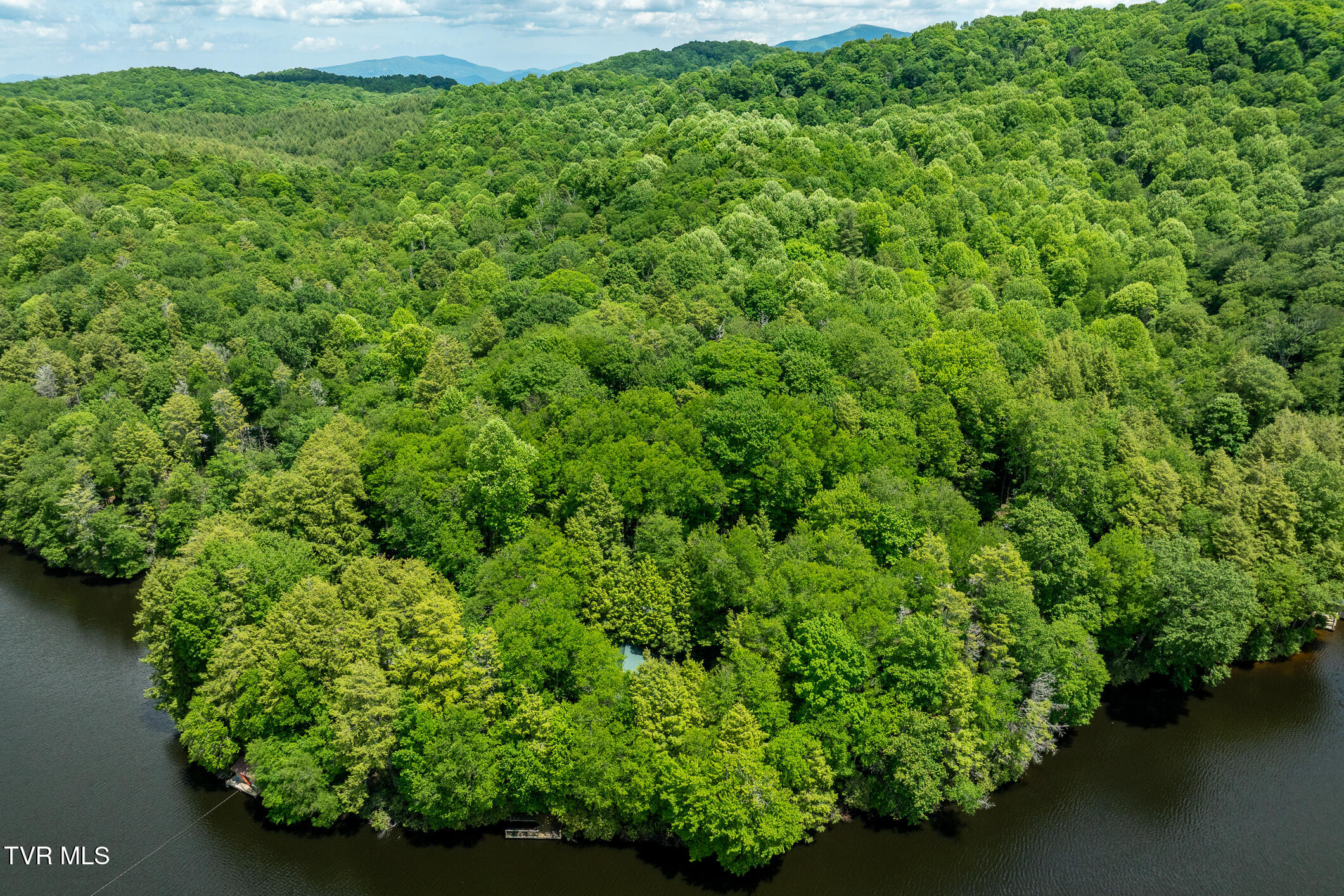 206 Ripshin Lake Road