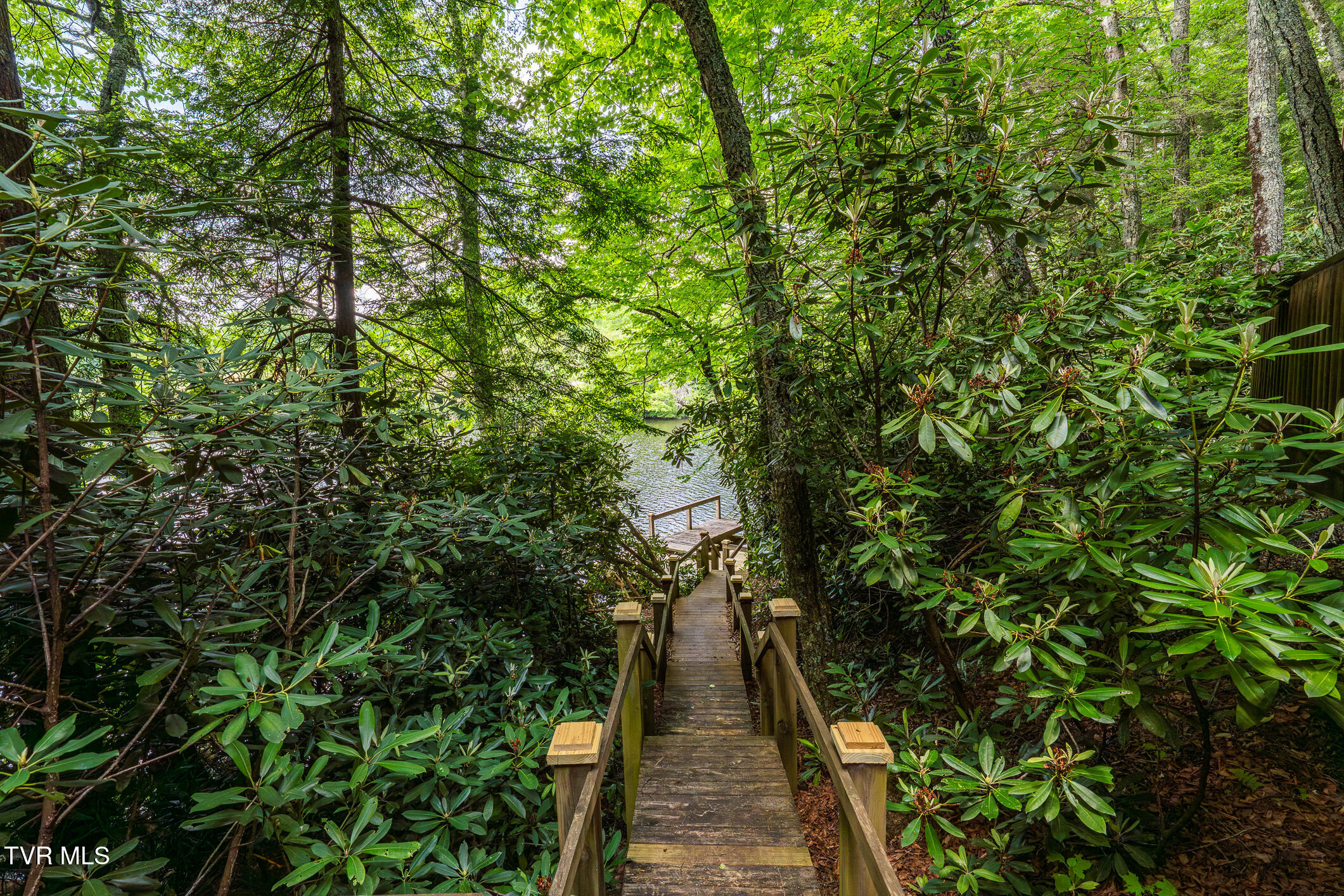 206 Ripshin Lake Road