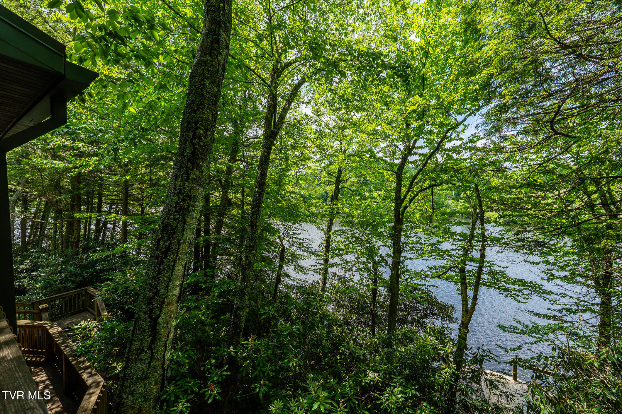206 Ripshin Lake Road
