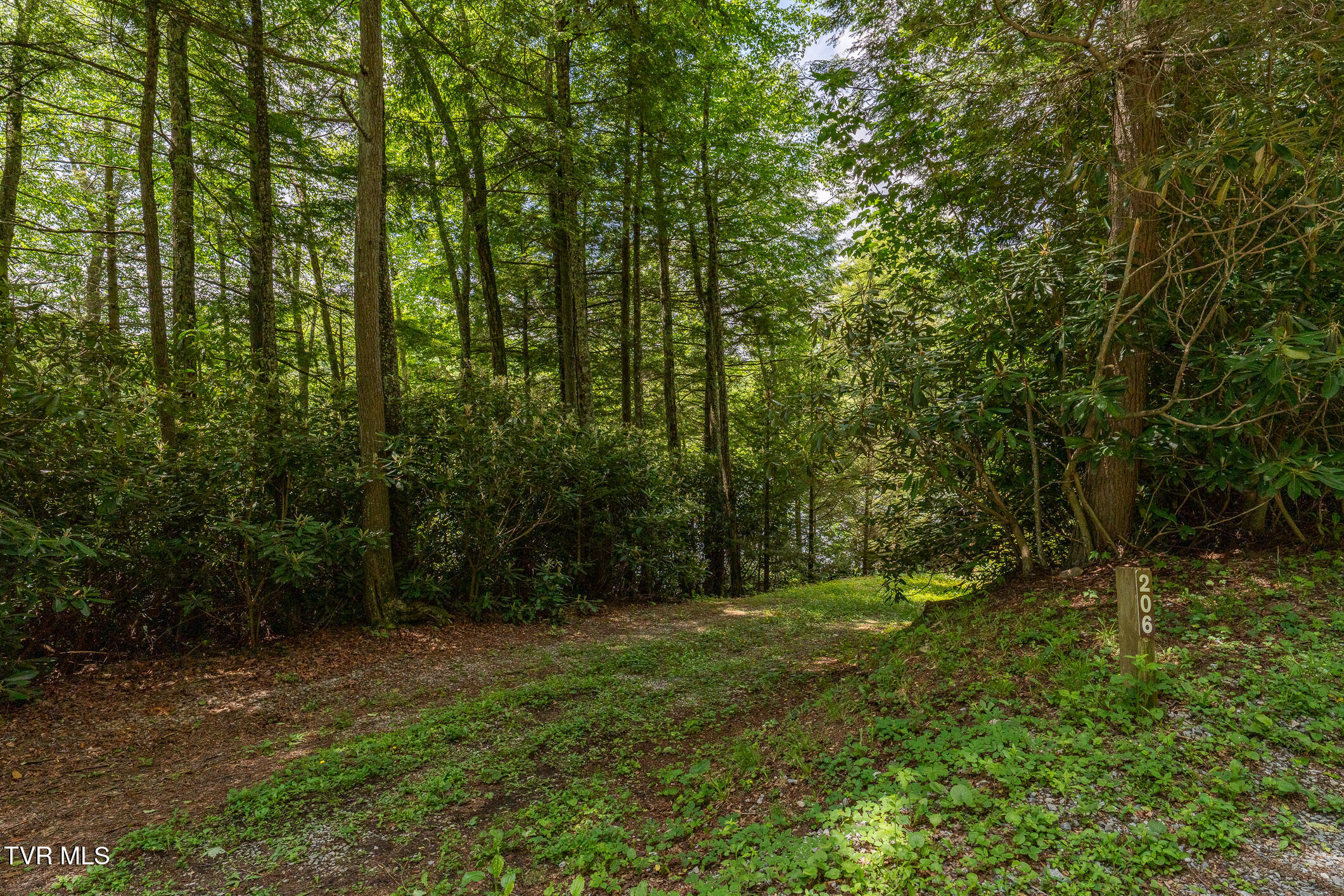 206 Ripshin Lake Road