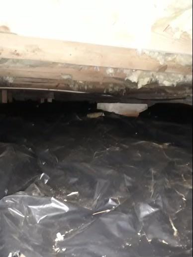 168 Willow Stream Court