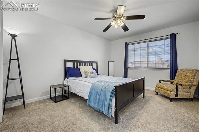 6798 Bitterroot Drive