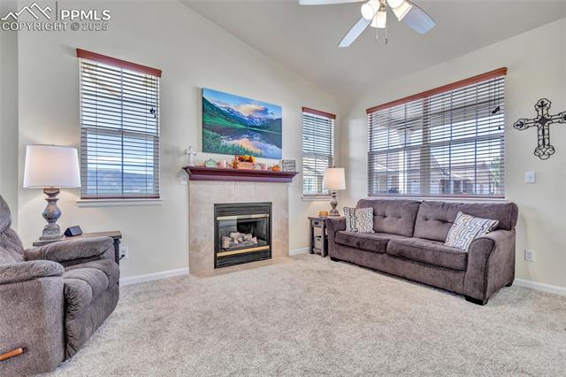 1327 Villa Grove