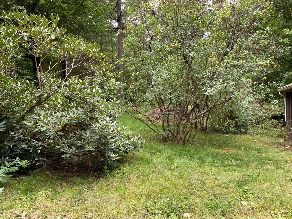 9 Deer Run Path