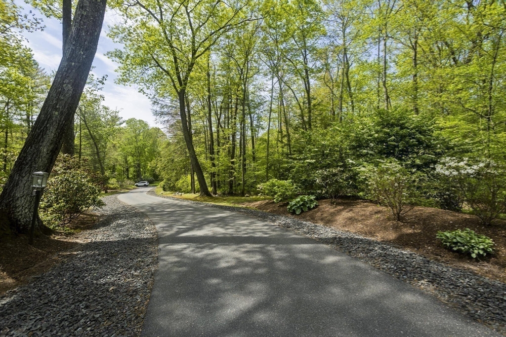 21 Birch Ln