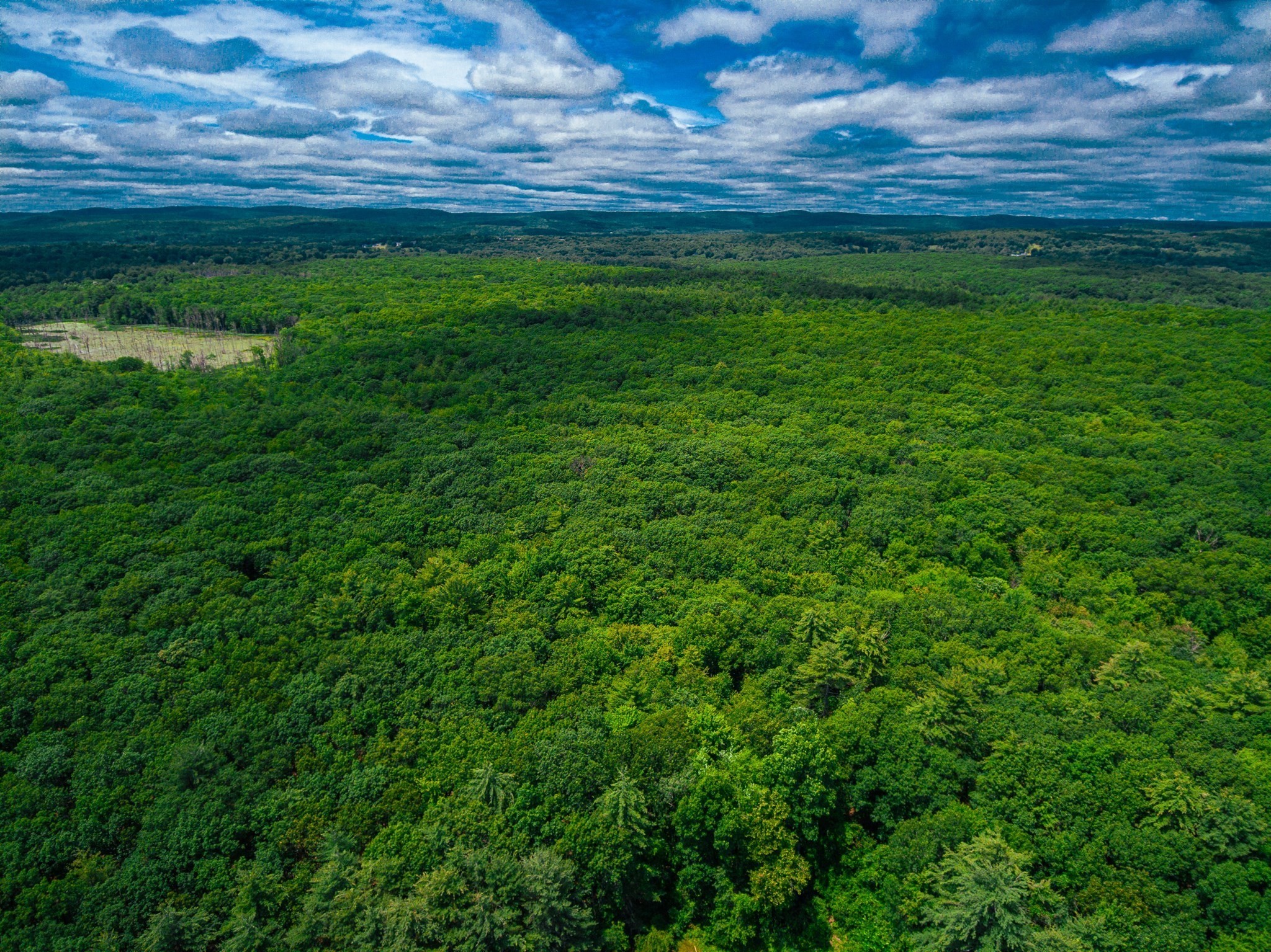 Aerial view of expansive forested land, with a small clearing and distant hills beneath a cloudy sky.