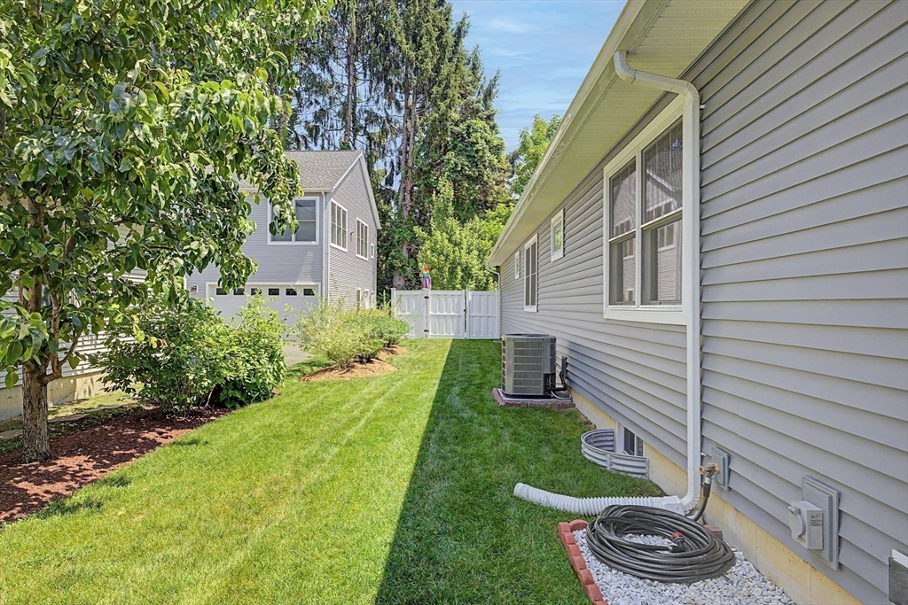 29 Woodbine Ave