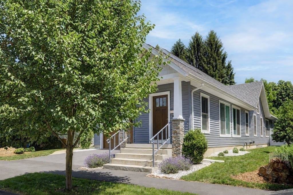 29 Woodbine Ave