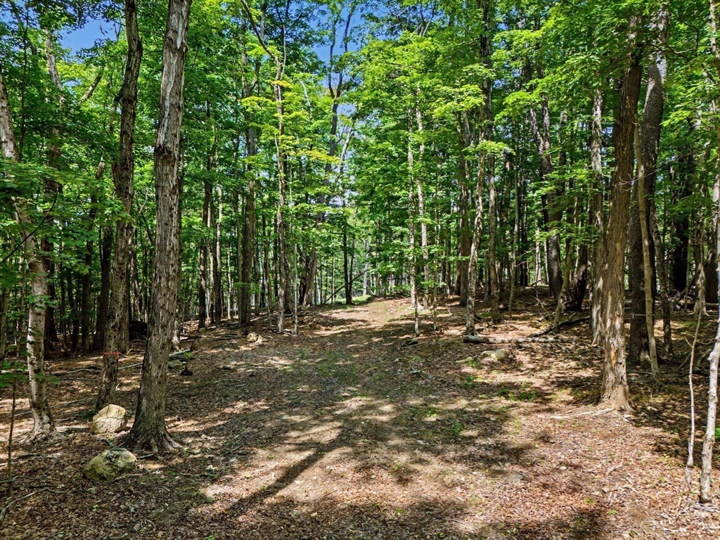 951 West Rd
