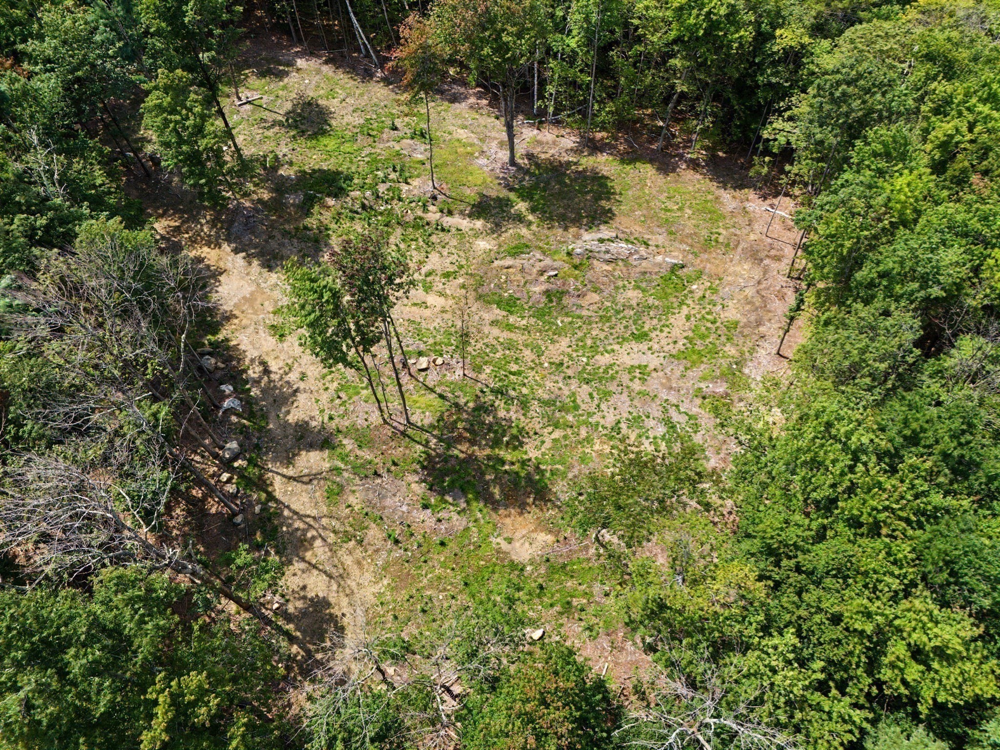 Aerial view of a partially cleared lot surrounded by dense trees.
