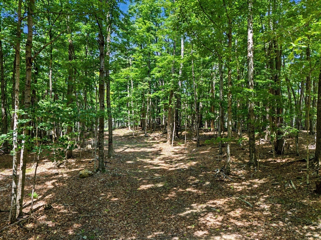 951 West Rd