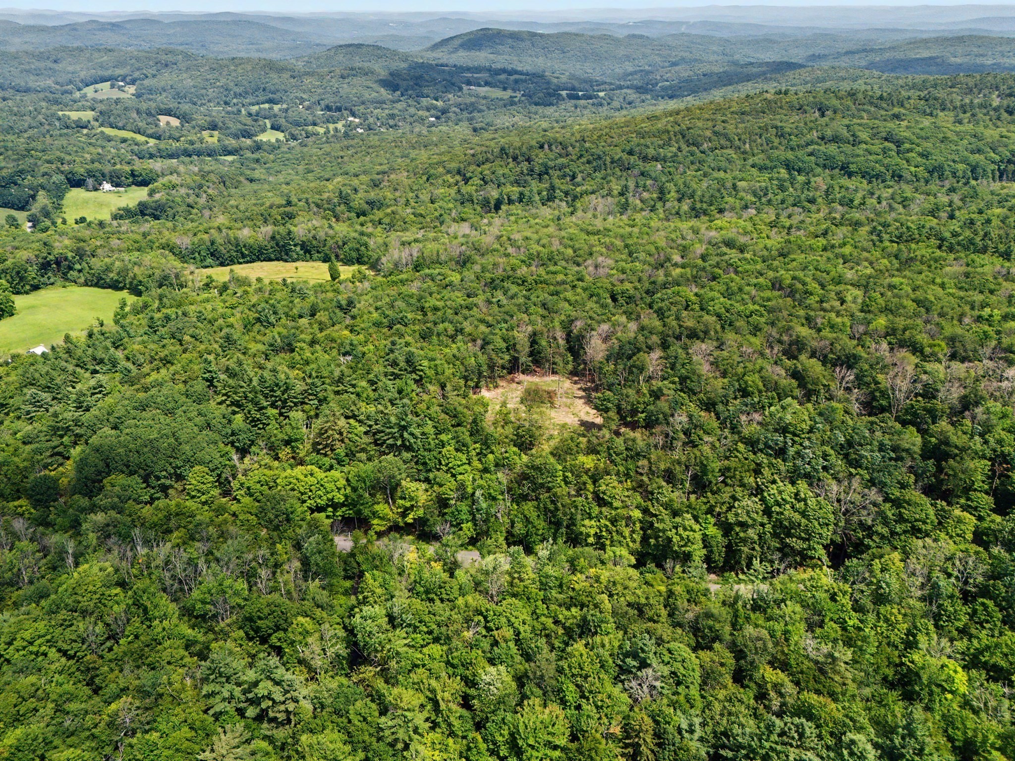 Aerial view over dense green forest, a small clearing, and distant mountain ridges.