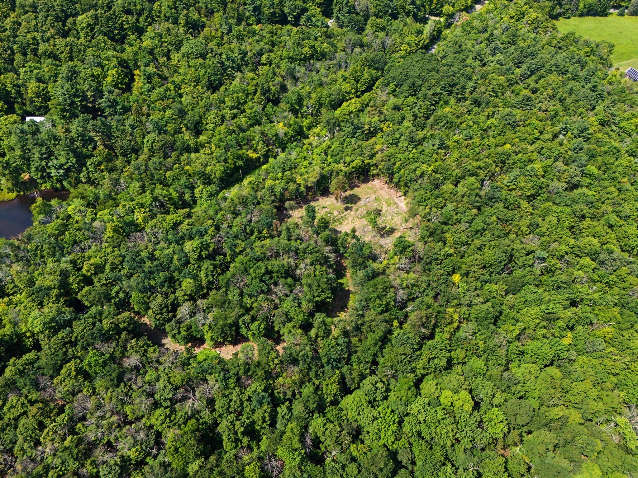 Aerial view of wooded land with a pond and a clearing.