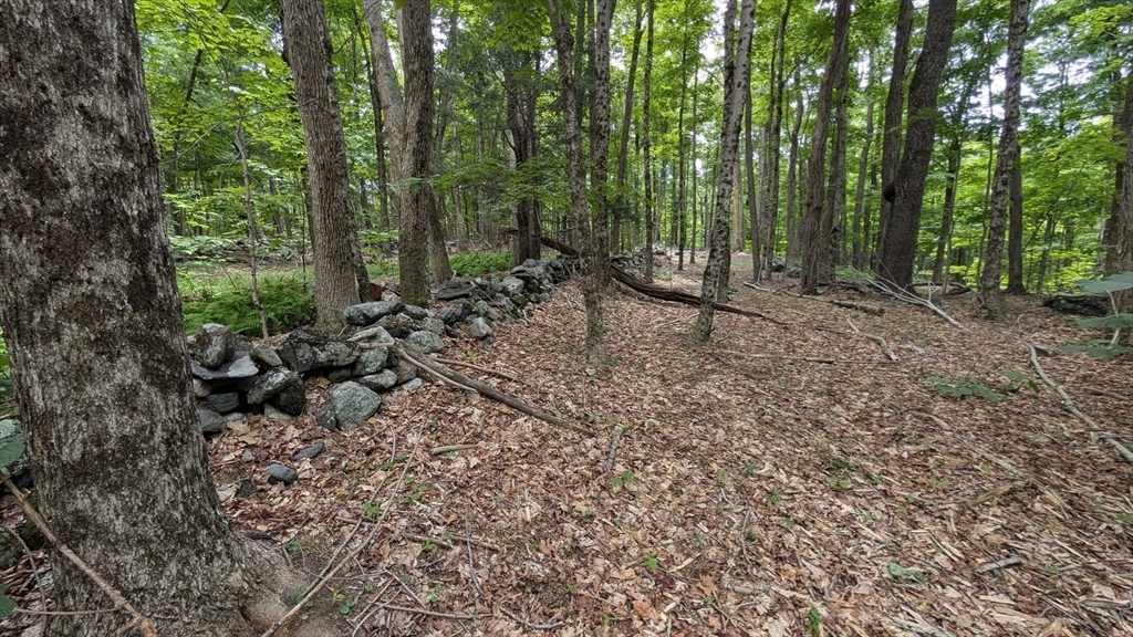 951 West Rd