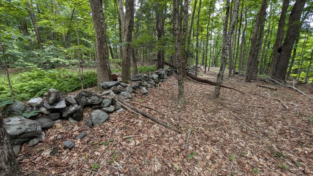 951 West Rd