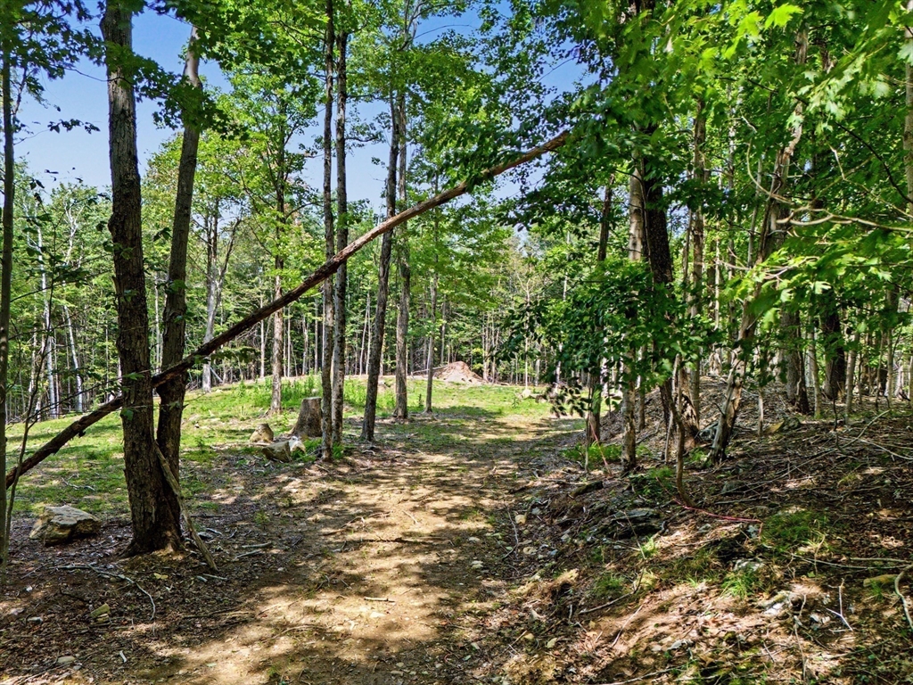 951 West Rd