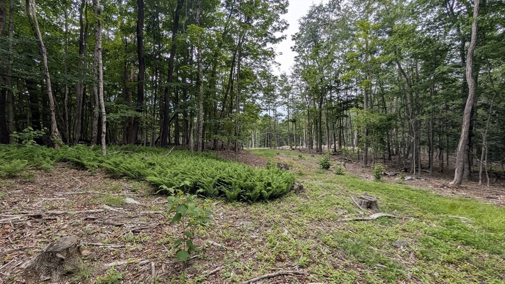 951 West Rd