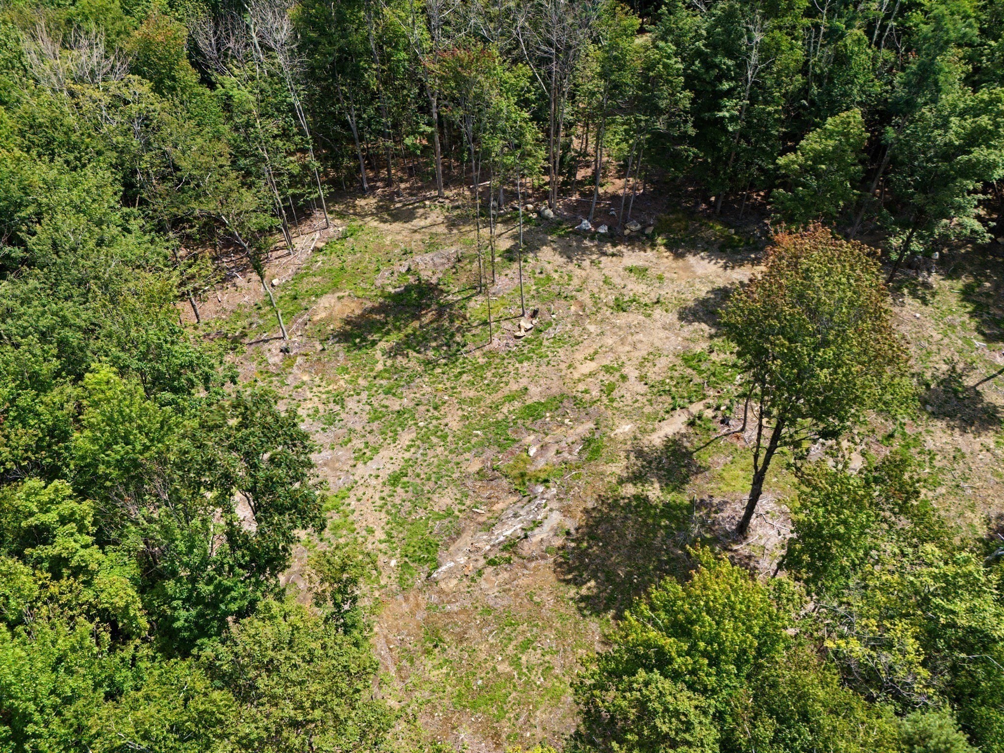 Aerial view of a grassy clearing surrounded by dense woods.