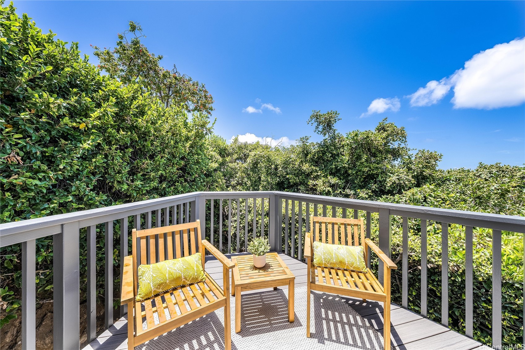1670 Halekoa Drive