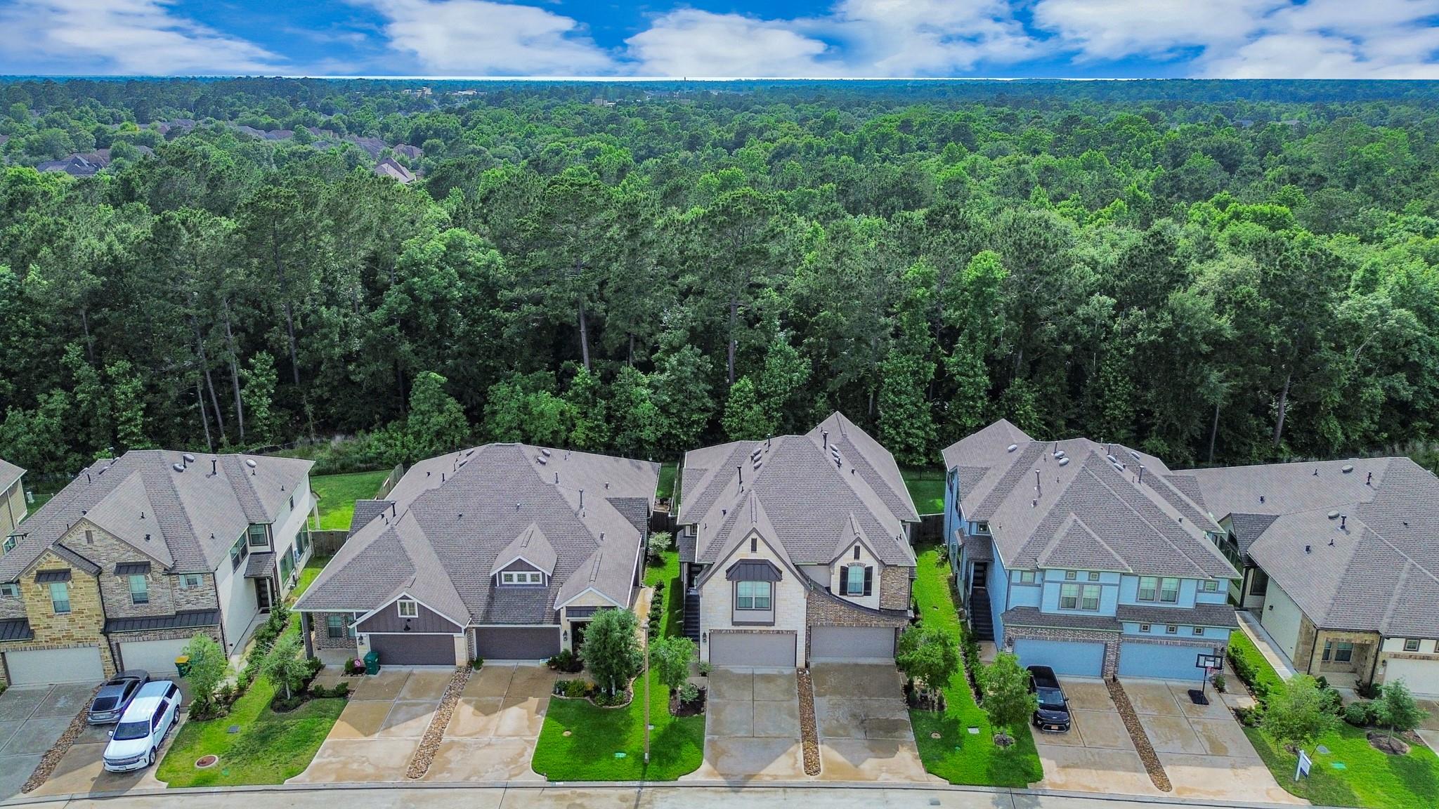 243 S Spotted Fern Drive