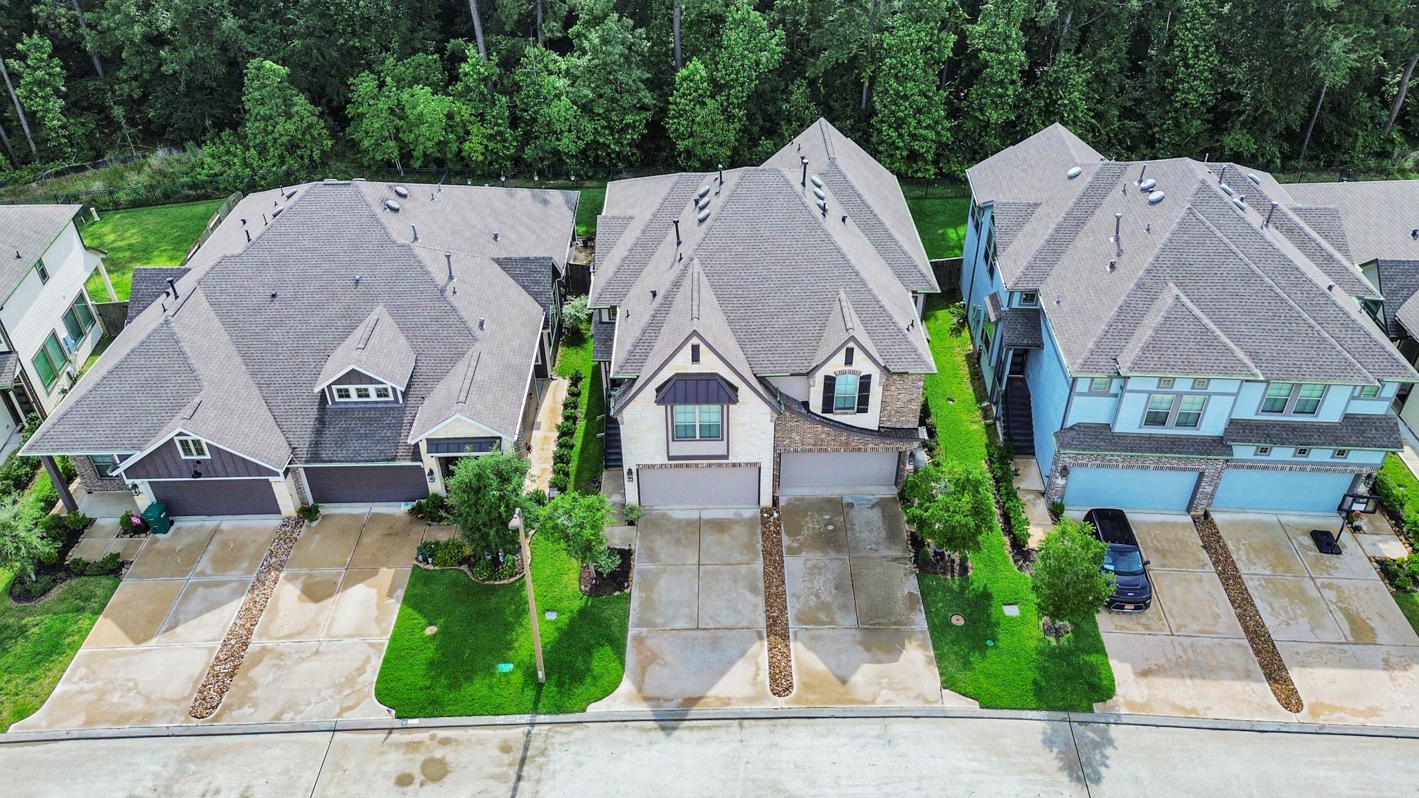 243 S Spotted Fern Drive