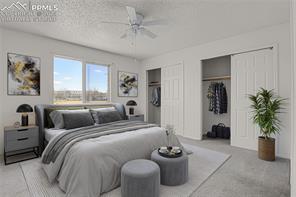4797 Live Oak Drive