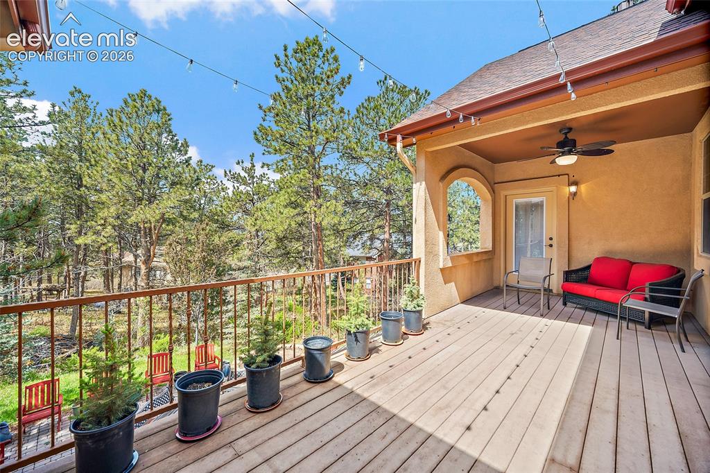 1497 Shady Glen Lane