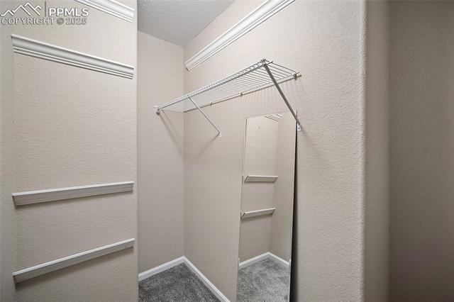 2687 Stonecrop Ridge Grove
