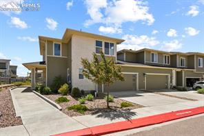 10067 Vervain View