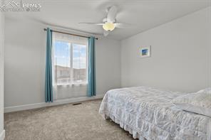 10067 Vervain View