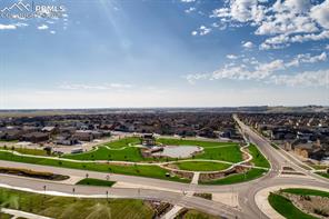 10067 Vervain View