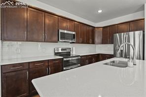 10067 Vervain View