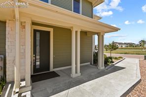 10067 Vervain View