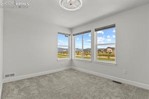 10067 Vervain View