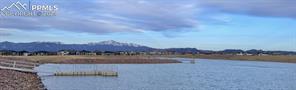 10067 Vervain View