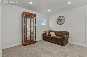 10067 Vervain View