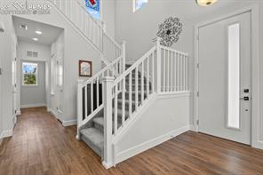 10067 Vervain View