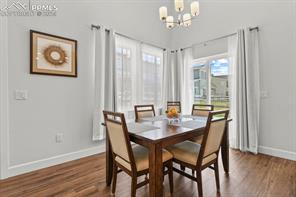 10067 Vervain View