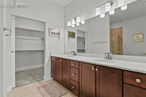 10067 Vervain View