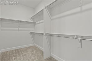 10067 Vervain View