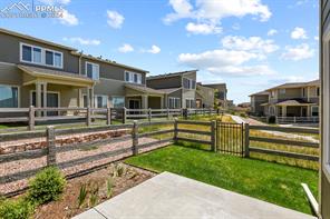 10067 Vervain View